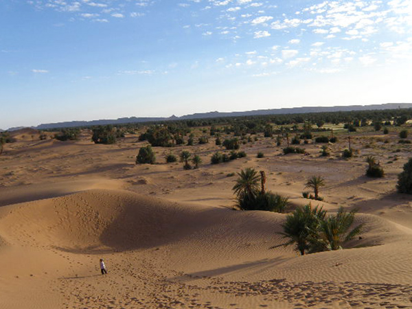Dunes désert Maroc Trek Tawadatrekking