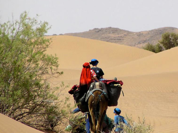 Dune de la randonnée désert Maroc