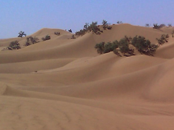 Dunes du désert Maroc