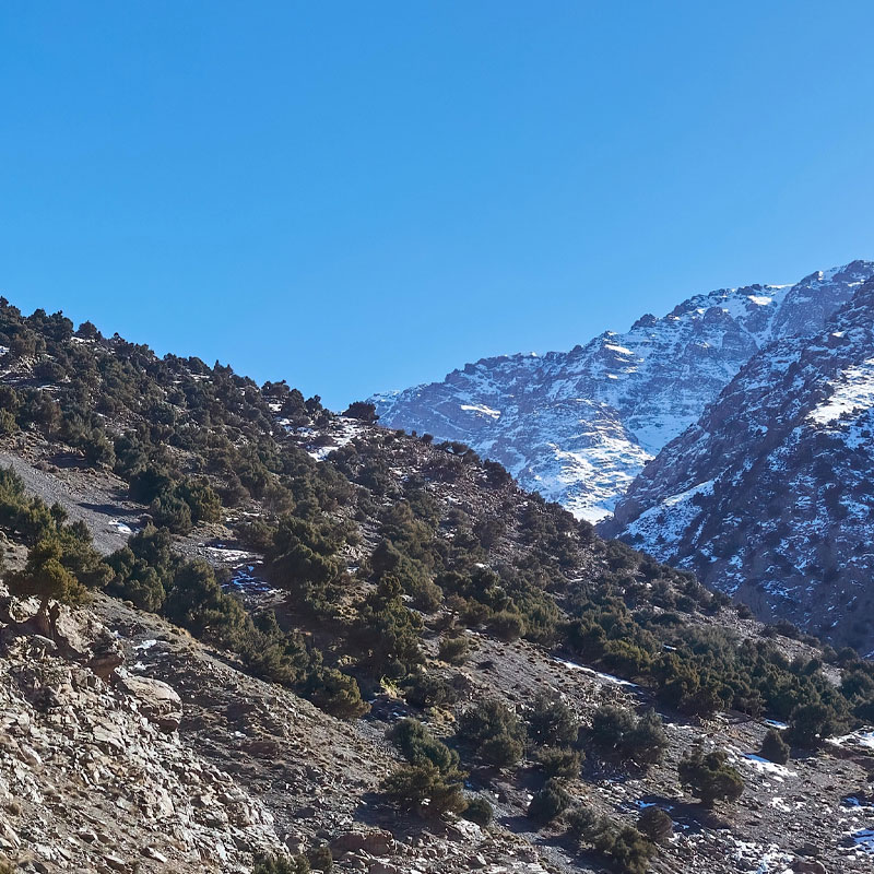 Trekking au Maroc Désert Tawadatrekking Hafida Marrakech